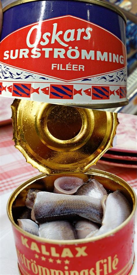 the smelliest fish in the world|Surströmming – the rotten herring that Swedes love